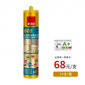 605彩色防霉美容胶（环保醇型、0级防霉、光亮晶莹）